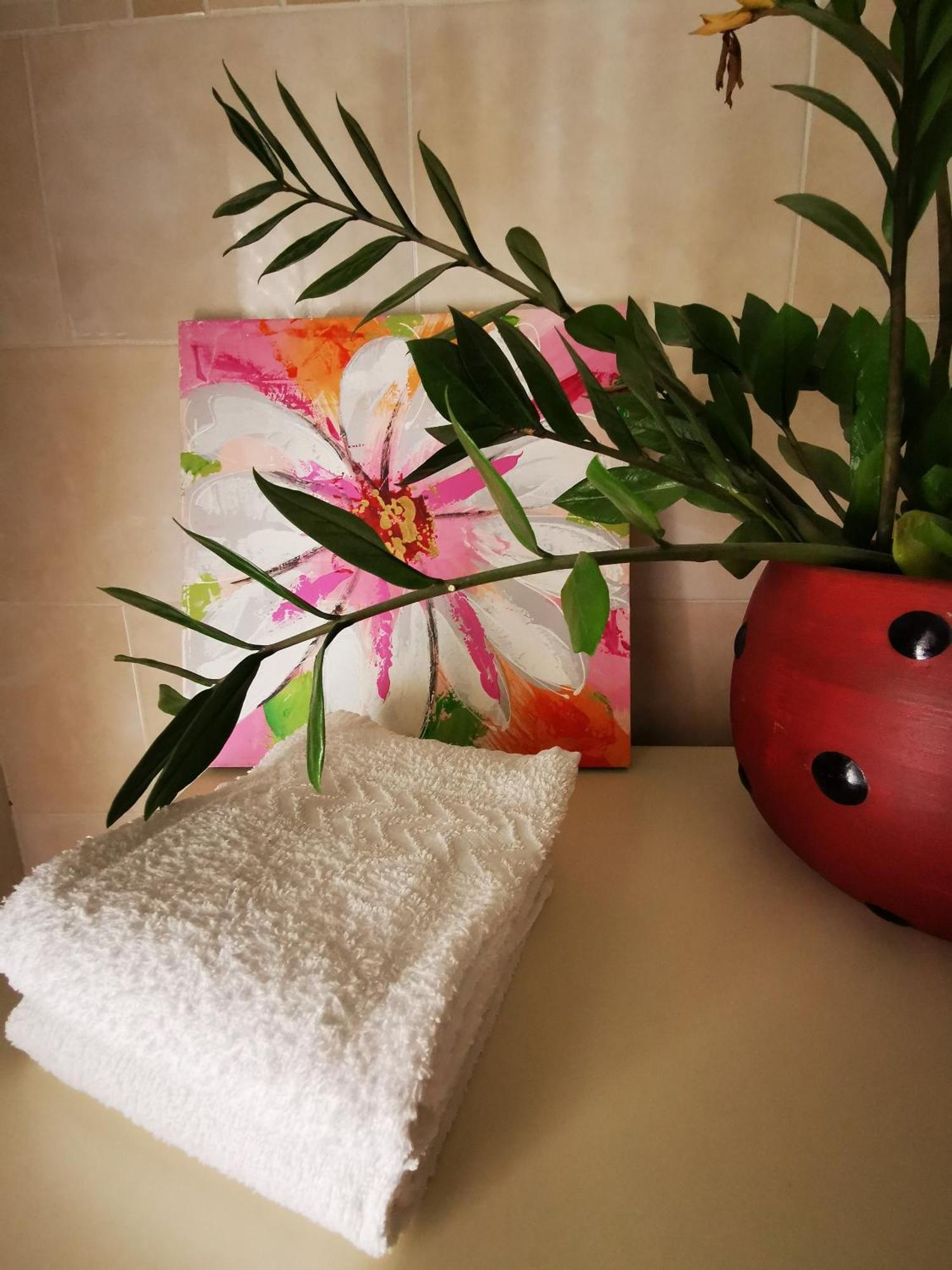B&B Ospedale Maggiore Parma Affittacamere Exterior photo